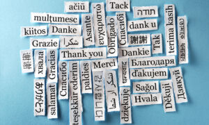 thank you in many languages for chatbot use