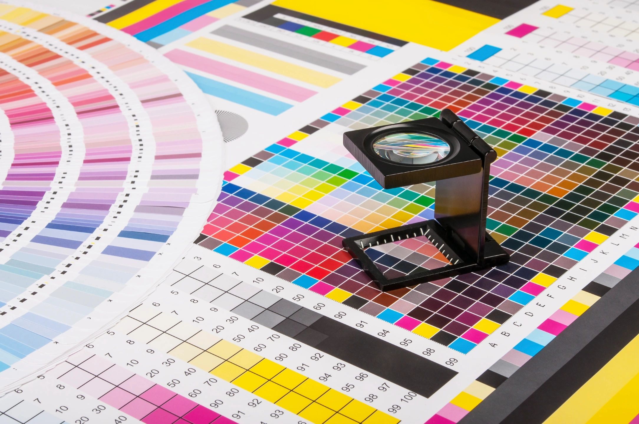 colour palette for design consistency
