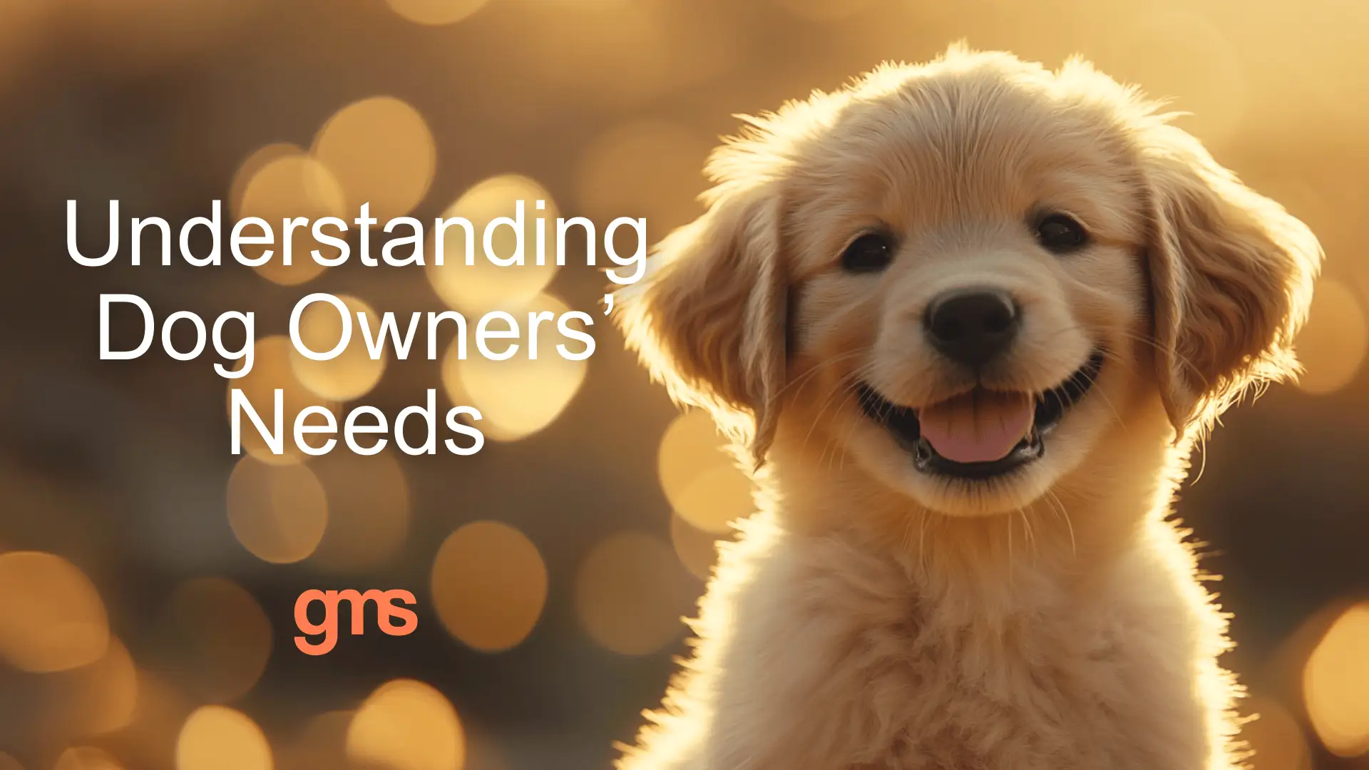 Pet Advertising, dog owner behaviour, dog owner needs