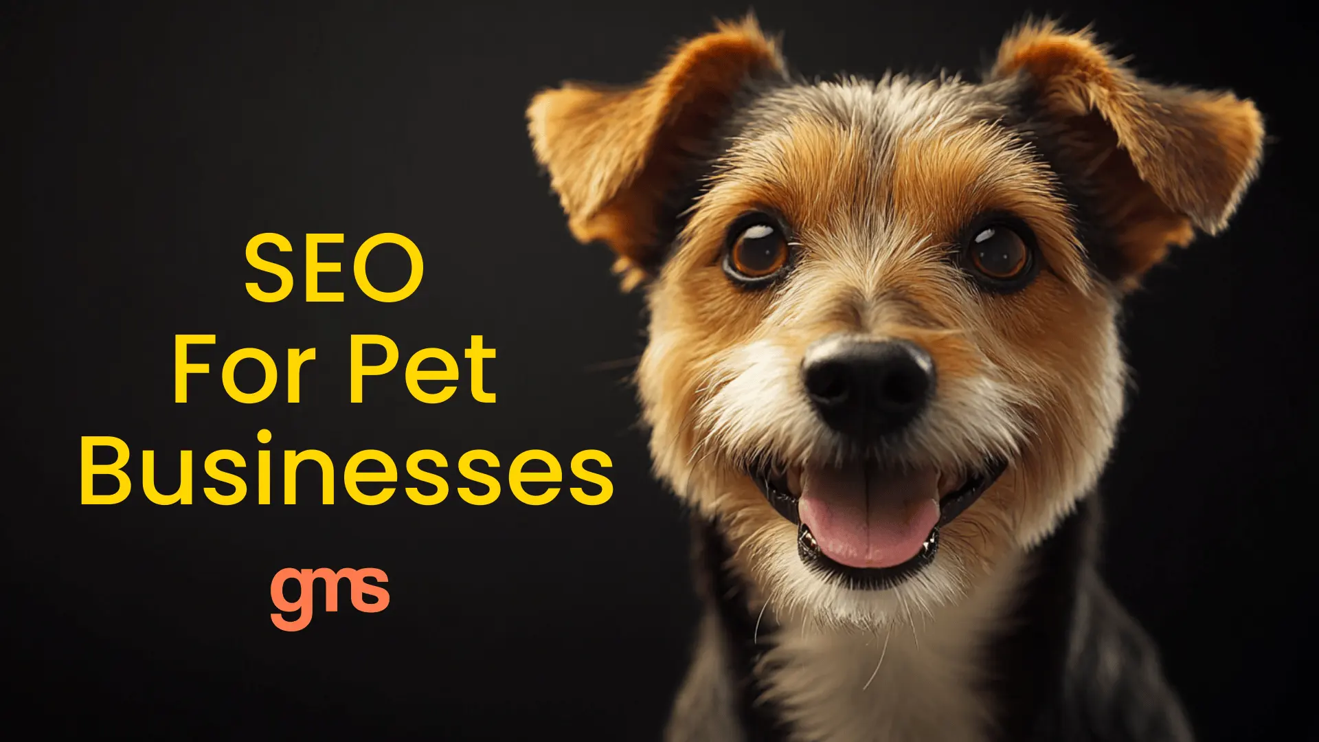 Pet Marketing, SEO,